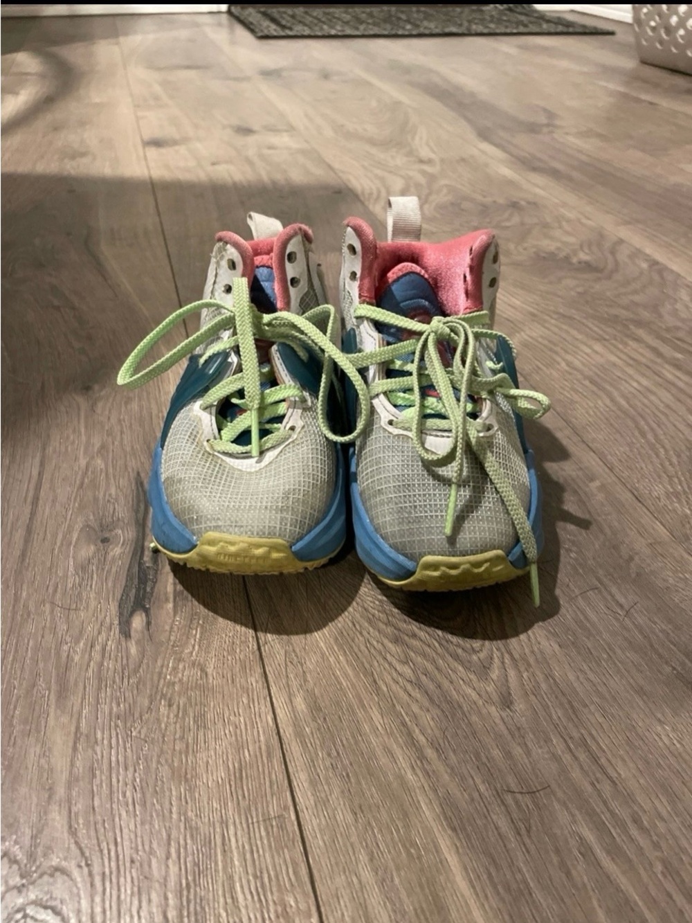 Lebron 19 PS Tropicals 11C Nike